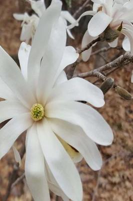 Cover of 2019 Weekly Planner Beautiful White Flower 134 Pages