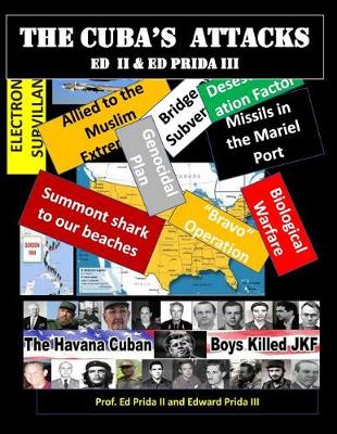 Book cover for The Cuba's attacks