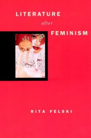 Cover of Literature after Feminism