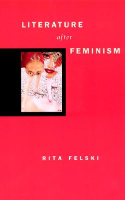 Book cover for Literature after Feminism