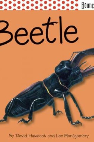 Cover of Beetle