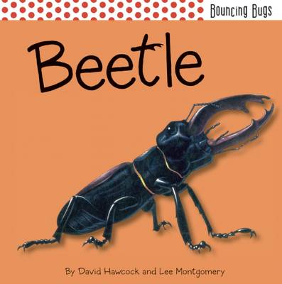 Book cover for Beetle