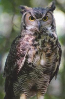 Book cover for Owl Standing Guard - Lined Notebook with Margins