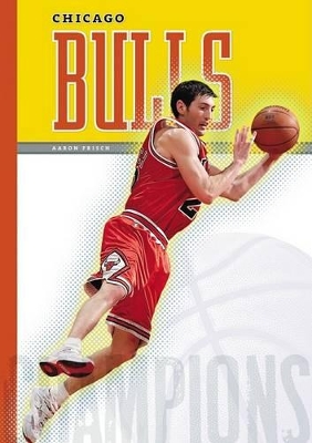 Book cover for Chicago Bulls