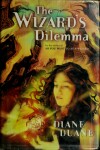 Book cover for The Wizard's Dilemma