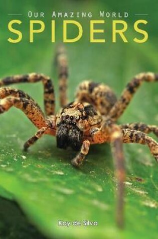 Cover of Spiders