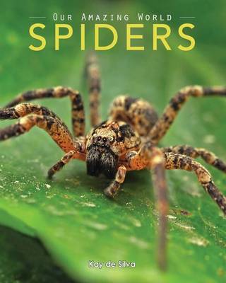 Book cover for Spiders