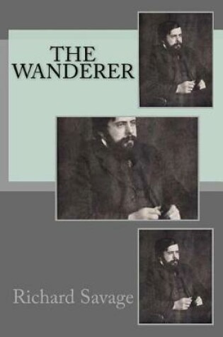 Cover of The wanderer