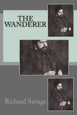 Book cover for The wanderer