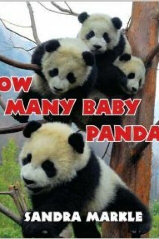 Cover of How Many Baby Pandas? / Scholastic Book Fair Edition