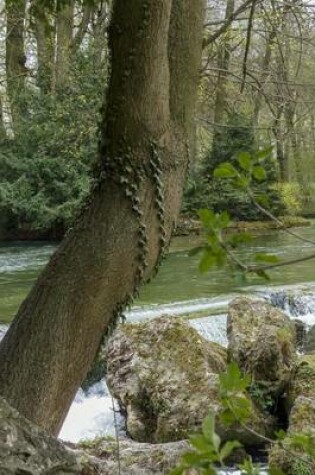 Cover of A Yew Tree by the Creek