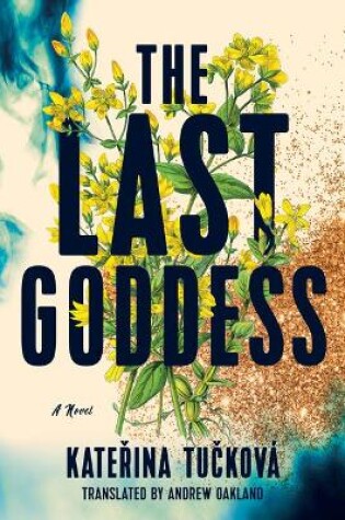 Cover of The Last Goddess