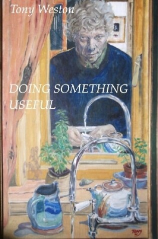 Cover of Doing Something Useful