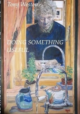 Book cover for Doing Something Useful