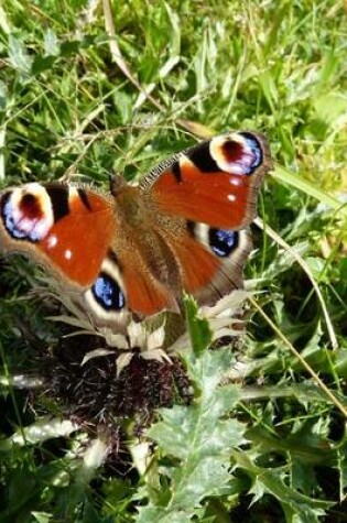 Cover of Peacock Butterfly, for the Love of Nature