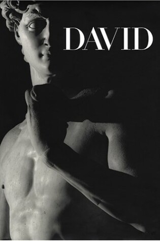Cover of Michelangelo's David