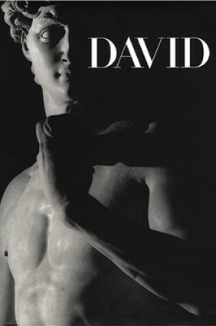 Cover of Michelangelo's David