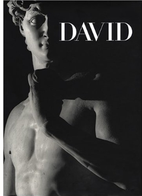 Book cover for Michelangelo's David