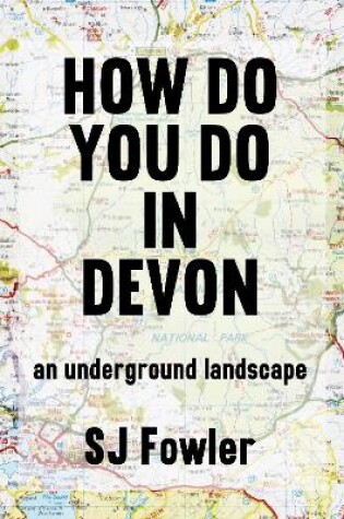 Cover of How Do You Do In Devon