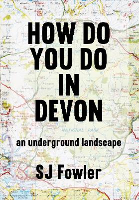 Book cover for How Do You Do In Devon