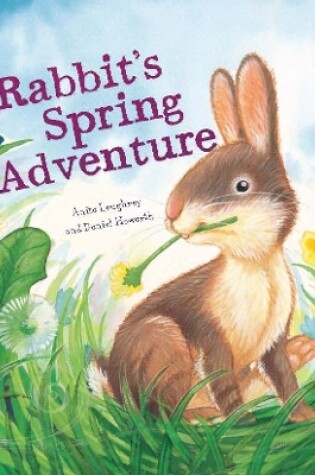 Cover of Rabbit's Spring Adventure