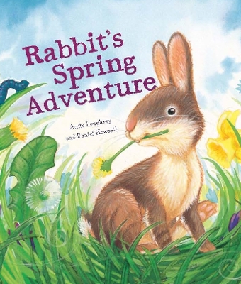 Book cover for Rabbit's Spring Adventure