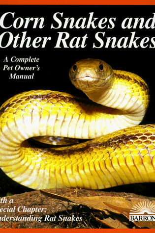 Cover of Corn Snakes and Rat Snakes