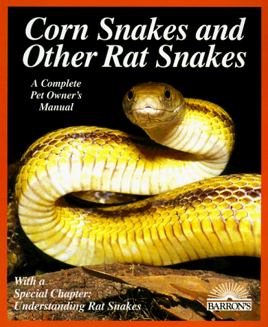 Book cover for Corn Snakes and Rat Snakes