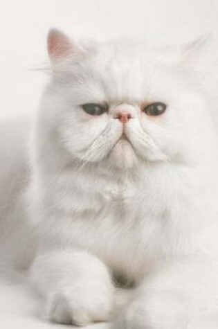 Cover of Persian Cat Journal "Before You Pet Me, May I Call You Blofeld?"