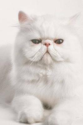 Book cover for Persian Cat Journal "Before You Pet Me, May I Call You Blofeld?"