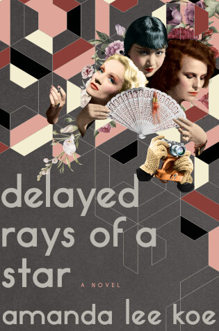 Cover of Delayed Rays of a Star