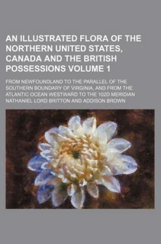 Cover of An Illustrated Flora of the Northern United States, Canada and the British Possessions Volume 1; From Newfoundland to the Parallel of the Southern Boundary of Virginia, and from the Atlantic Ocean Westward to the 102d Meridian