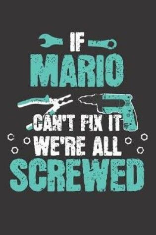 Cover of If MARIO Can't Fix It