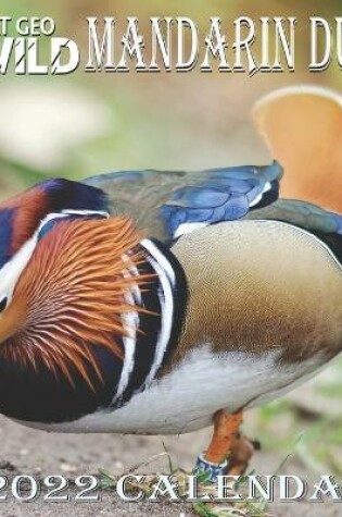 Cover of Mandarin Duck Calendar 2022