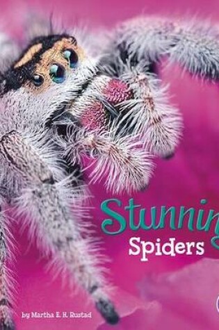Cover of Stunning Spiders