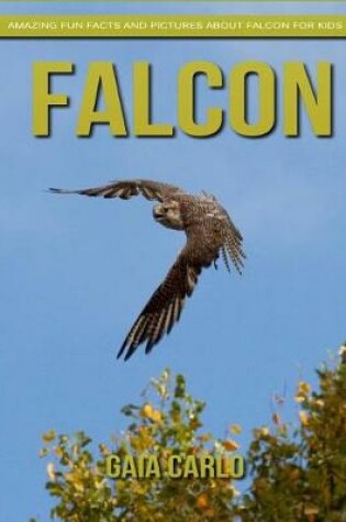 Cover of Falcon