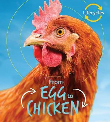 Book cover for From Egg to Chicken