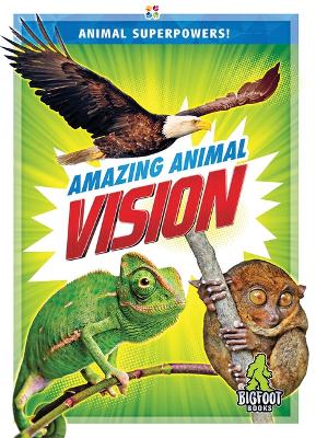Book cover for Amazing Animal Vision