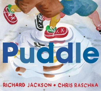 Book cover for Puddle