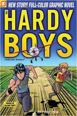 Book cover for Hardy Boys 19
