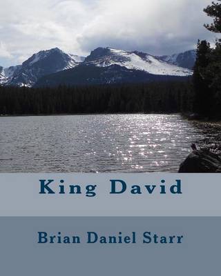 Book cover for King David