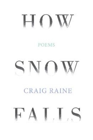 Cover of How Snow Falls