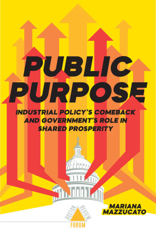 Book cover for Public Purpose