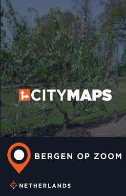 Book cover for City Maps Bergen op Zoom Netherlands