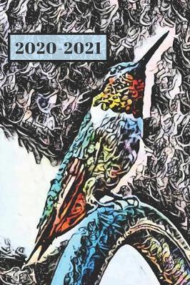 Cover of Black Teal Blue Red & Green Hummingbird Dated Calendar Planner 2 years To-Do Lists, Tasks, Notes Appointments