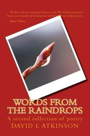 Cover of Words from the Raindrops