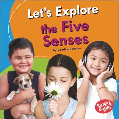 Book cover for Let's Explore the Five Senses