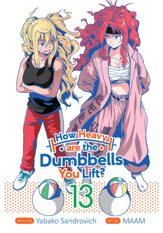 Book cover for How Heavy are the Dumbbells You Lift? Vol. 13