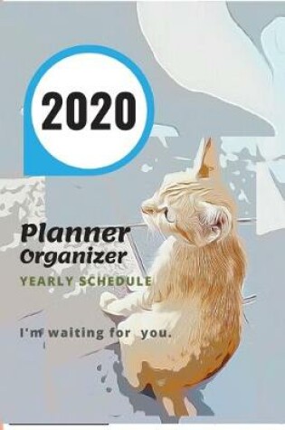 Cover of 2020 ORGANIZER PLANNER Yearly Schedule