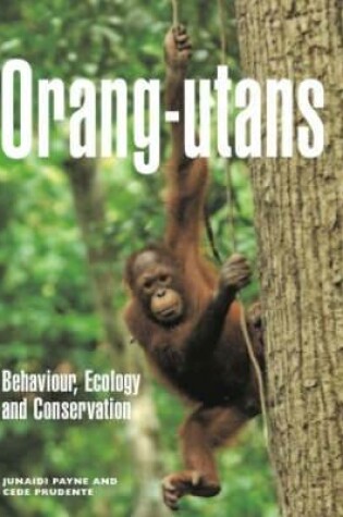 Cover of Orang-utans